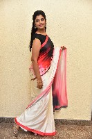 Syamala Anchor Gallery